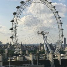 IMG_3888 2.jpg